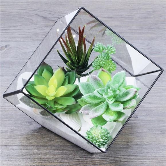 5Pcs Assorted Artificial Succulents Plants Unpotted Small Green Cactus Fake Faux - Picture 4 of 7